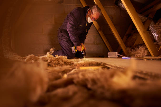 Best Spray Foam Insulation  in Oak Hills, CA